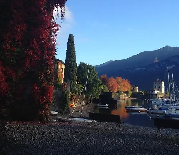 Dei Fiori Daire